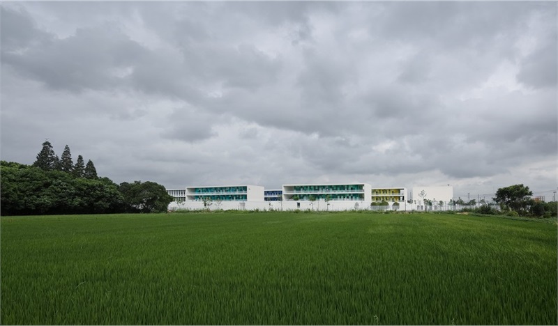 001-小学-学校河对岸的农田