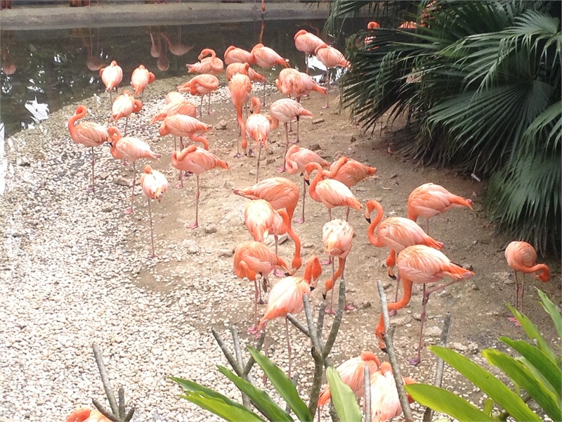 ↑2013-03-13 厂商:Apple� 型号:iPhone 4S� 光圈:F/2.4 曝光:1/460s ISO:50 焦距:4.28mm