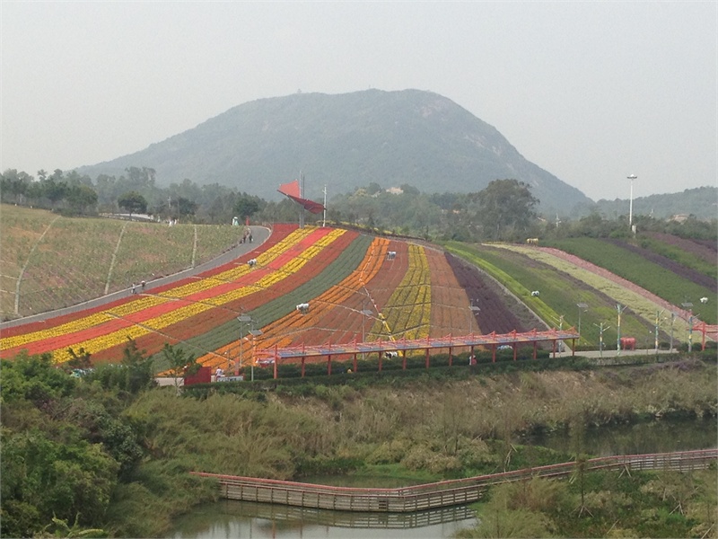 ↑2013-03-13 厂商:Apple� 型号:iPhone 4S� 光圈:F/2.4 曝光:1/1727s ISO:50 焦距:4.28mm