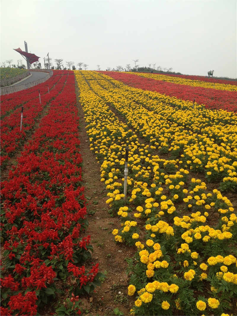 ↑2013-03-13 厂商:Apple� 型号:iPhone 4S� 光圈:F/2.4 曝光:1/935s ISO:50 焦距:4.28mm