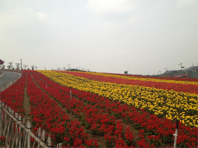 ↑2013-03-13 厂商:Apple� 型号:iPhone 4S� 光圈:F/2.4 曝光:1/1381s ISO:50 焦距:4.28mm