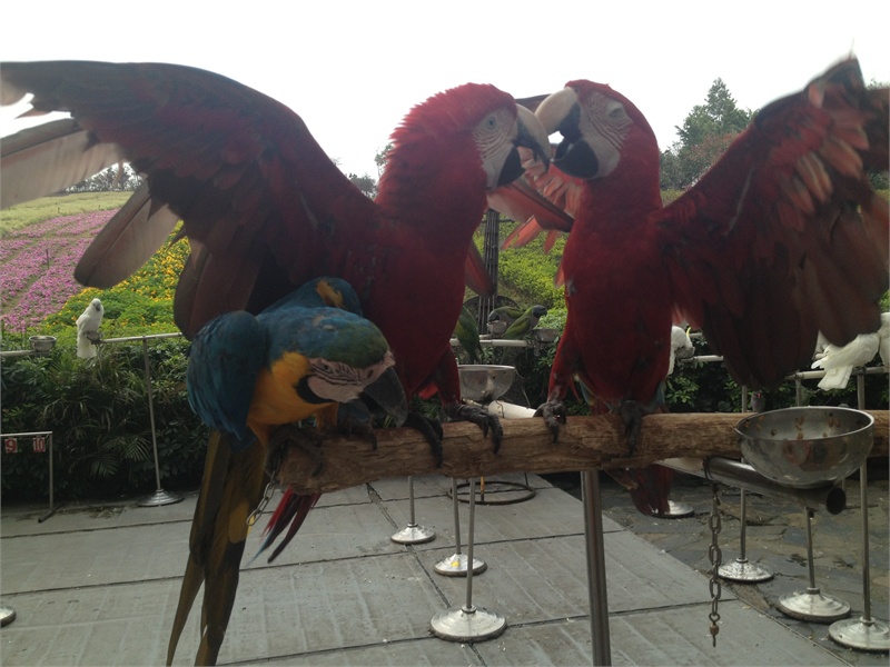 ↑2013-03-13 厂商:Apple� 型号:iPhone 4S� 光圈:F/2.4 曝光:1/424s ISO:50 焦距:4.28mm