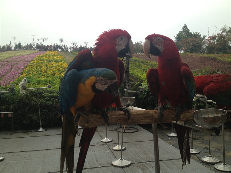 ↑2013-03-13 厂商:Apple� 型号:iPhone 4S� 光圈:F/2.4 曝光:1/581s ISO:50 焦距:4.28mm