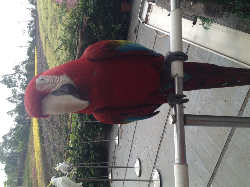 ↑2013-03-13 厂商:Apple� 型号:iPhone 4S� 光圈:F/2.4 曝光:1/323s ISO:50 焦距:4.28mm